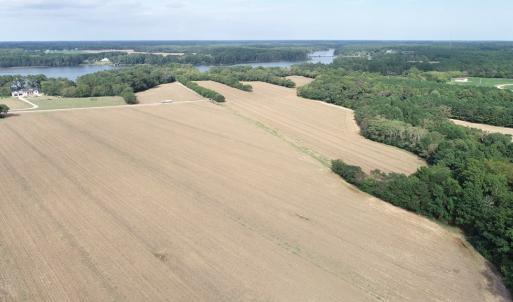 Photo #22 of OCCOHANNOCK NECK RD, BELLE HAVEN, VA 114.9 acres