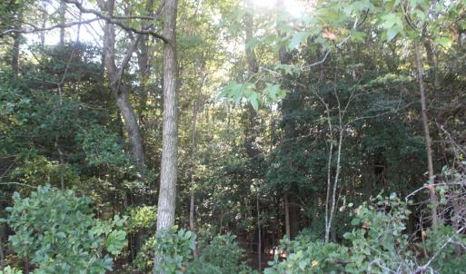 Photo #11 of lot 130 MATTHEWS RD, PARKSLEY, VA 58.0 acres