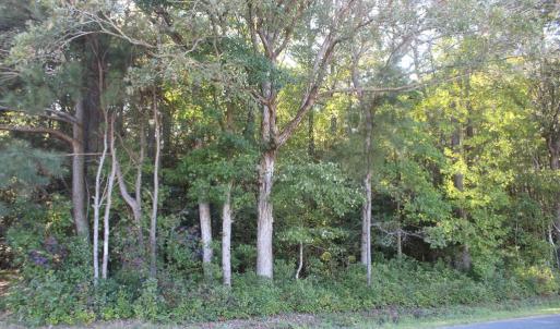 Photo #12 of lot 130 MATTHEWS RD, PARKSLEY, VA 58.0 acres