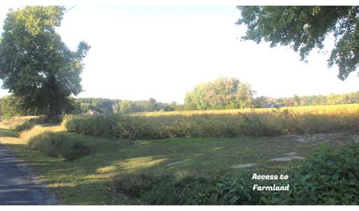 Photo #13 of lot 130 MATTHEWS RD, PARKSLEY, VA 58.0 acres