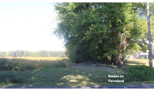 Photo #3 of lot 130 MATTHEWS RD, PARKSLEY, VA 58.0 acres
