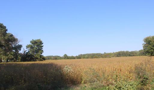Photo #6 of lot 130 MATTHEWS RD, PARKSLEY, VA 58.0 acres