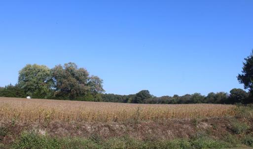 Photo #7 of lot 130 MATTHEWS RD, PARKSLEY, VA 58.0 acres