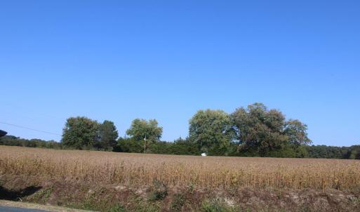 Photo #8 of lot 130 MATTHEWS RD, PARKSLEY, VA 58.0 acres
