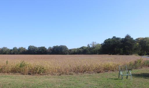 Photo #14 of lot 130 MATTHEWS RD, PARKSLEY, VA 58.0 acres