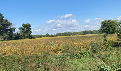 Photo #4 of lot 130 MATTHEWS RD, PARKSLEY, VA 58.0 acres