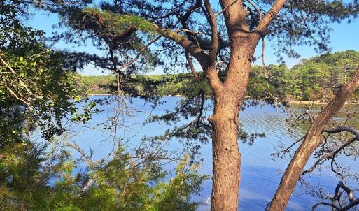 Additional view of Plantation Creek