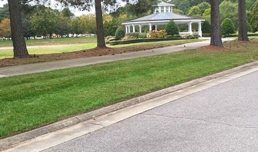 Across the street from the lot