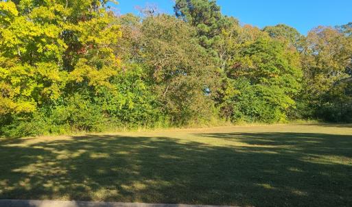 Partial View of the Lot