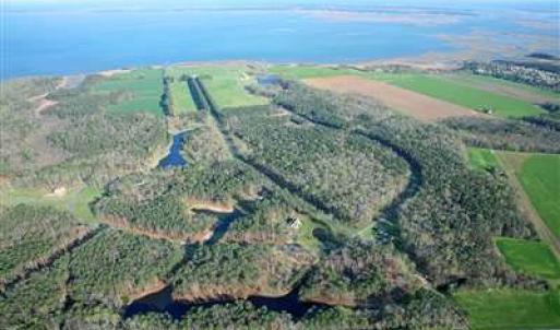 Photo #4 of Lot 95 COVENTON LANE, HORNTOWN, VA 3.1 acres