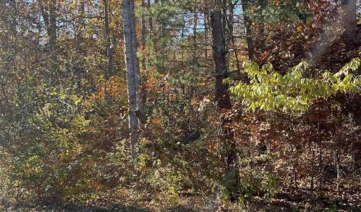 Photo #1 of 20 CHIPPEWA LN, PALMYRA, VA 0.3 acres