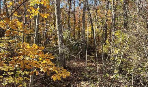Photo #3 of 20 CHIPPEWA LN, PALMYRA, VA 0.3 acres