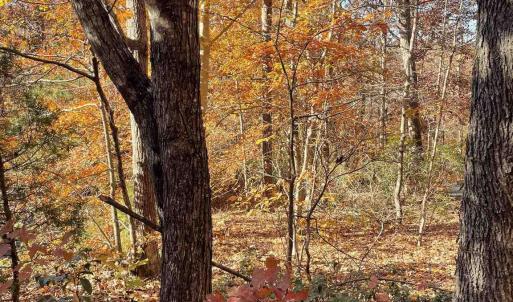 Photo #1 of 19 CHICKASAW PL, PALMYRA, VA 0.8 acres