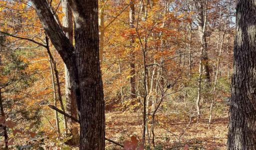 Photo #3 of 19 CHICKASAW PL, PALMYRA, VA 0.8 acres