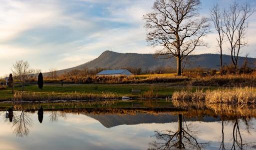 Photo #3 of Lot-91 DAVE BERRY RD, MCGAHEYSVILLE, VA 0.7 acres