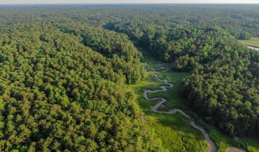 Photo #13 of 0-A WARE CREEK RD, WILLIAMSBURG, VA 2,712.0 acres