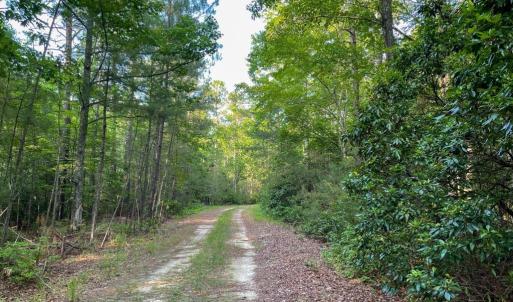 Photo #17 of 0-A WARE CREEK RD, WILLIAMSBURG, VA 2,712.0 acres