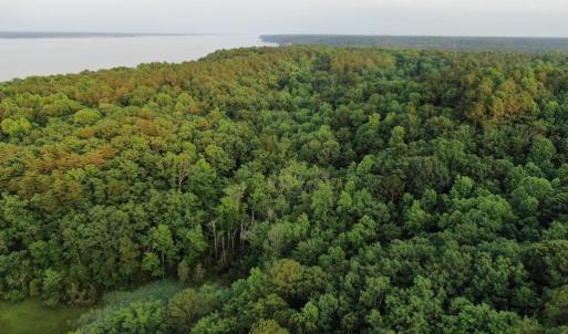 Photo #20 of 0-A WARE CREEK RD, WILLIAMSBURG, VA 2,712.0 acres