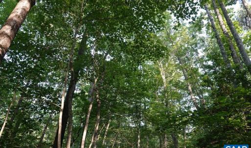 Photo #21 of 0-A WARE CREEK RD, WILLIAMSBURG, VA 2,712.0 acres