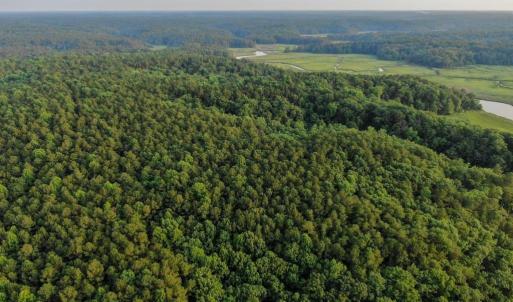 Photo #22 of 0-A WARE CREEK RD, WILLIAMSBURG, VA 2,712.0 acres