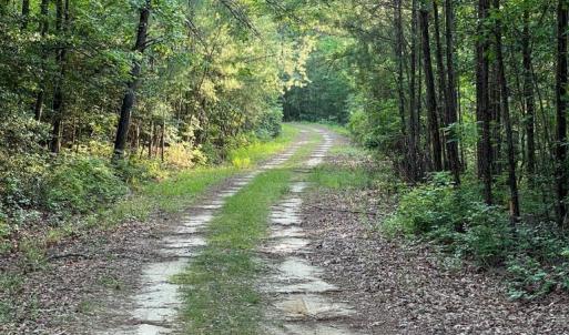 Photo #8 of 0-A WARE CREEK RD, WILLIAMSBURG, VA 2,712.0 acres