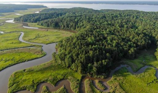 Photo #10 of 0-A WARE CREEK RD, WILLIAMSBURG, VA 2,712.0 acres