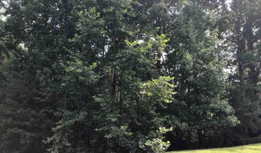 Photo #5 of Lot 7 FOXWOOD DR, BARBOURSVILLE, VA 2.7 acres