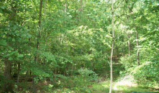 Photo #3 of Lot 21 WOODTHRUSH LN, BARBOURSVILLE, VA 2.7 acres