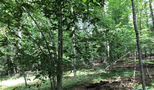 Photo #3 of Lot 22 WOODTHRUSH LN, BARBOURSVILLE, VA 2.4 acres