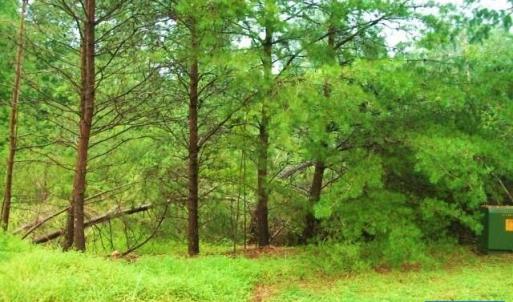 Photo #3 of Lot 23 WOODTHRUSH LN, BARBOURSVILLE, VA 2.2 acres