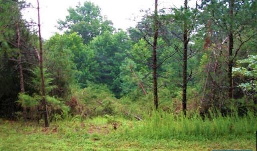 Photo #1 of Lot 24 WOODTHRUSH LN, BARBOURSVILLE, VA 2.0 acres