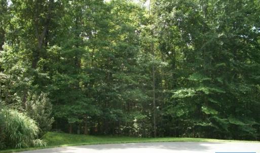Photo #3 of Lot 36 FOXWOOD DR, BARBOURSVILLE, VA 3.1 acres