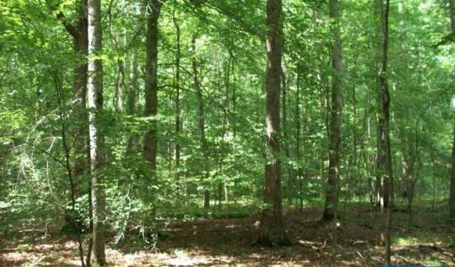 Photo #4 of Lot 36 FOXWOOD DR, BARBOURSVILLE, VA 3.1 acres