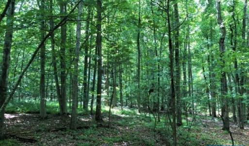 Photo #5 of Lot 36 FOXWOOD DR, BARBOURSVILLE, VA 3.1 acres