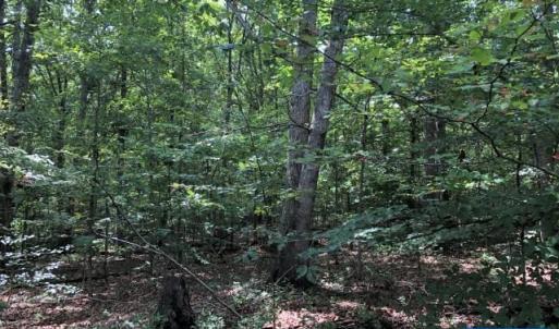 Photo #1 of Lot 41 FOXWOOD DR, BARBOURSVILLE, VA 2.0 acres