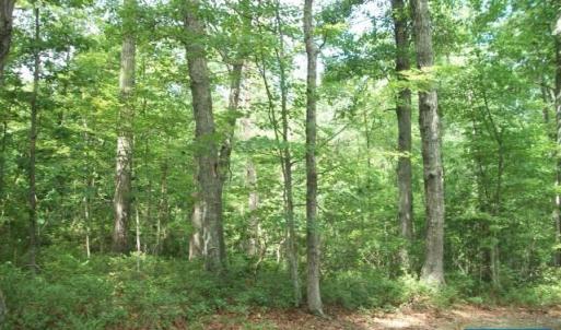 Photo #5 of Lot 44 FOXWOOD DR, BARBOURSVILLE, VA 2.0 acres