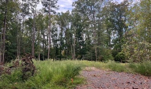 Photo #2 of Lot 1955 MAYFLOWER DR, GREENBACKVILLE, VA 19.0 acres
