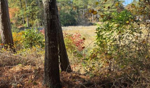 Photo #2 of BARNES CIR, PARKSLEY, VA 1.1 acres