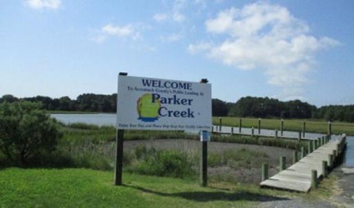 Photo #4 of ALICATO RD, PARKSLEY, VA 4.9 acres
