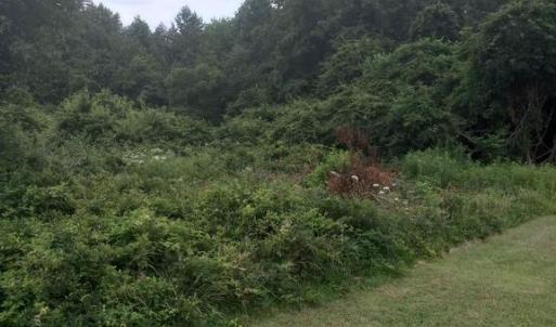 Photo #1 of LEWIS ESTATES LANE - LOT 4, SPOTSYLVANIA, VA 5.4 acres