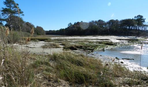Photo #14 of Lot E2 BATTLE POINT RD, JAMESVILLE, VA 3.1 acres