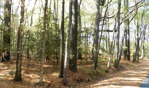 Photo #2 of Lot E2 BATTLE POINT RD, JAMESVILLE, VA 3.1 acres