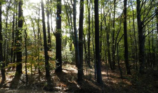 Photo #3 of Lot E2 BATTLE POINT RD, JAMESVILLE, VA 3.1 acres