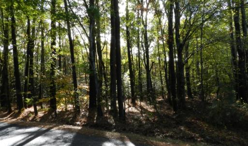 Photo #4 of Lot E2 BATTLE POINT RD, JAMESVILLE, VA 3.1 acres