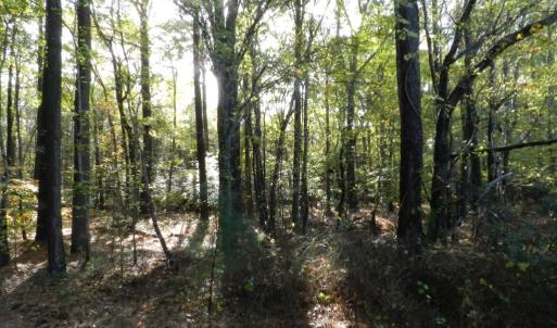 Photo #5 of Lot E2 BATTLE POINT RD, JAMESVILLE, VA 3.1 acres