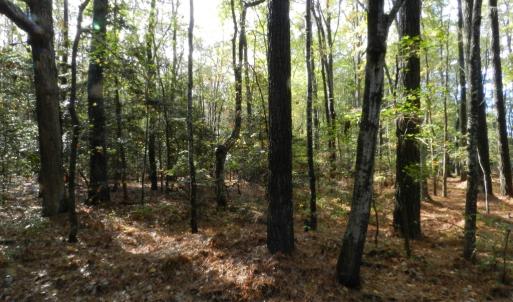 Photo #6 of Lot E2 BATTLE POINT RD, JAMESVILLE, VA 3.1 acres