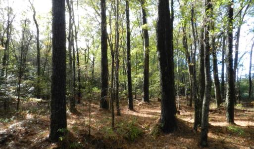 Photo #8 of Lot E2 BATTLE POINT RD, JAMESVILLE, VA 3.1 acres