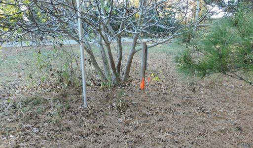 Photo #18 of Lot 3&X BARLOW CREEK LN., EASTVILLE, VA 5.0 acres