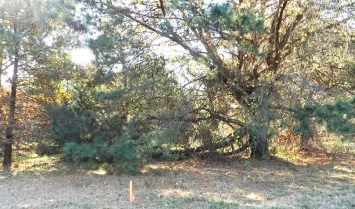 Photo #11 of Lot 3&X BARLOW CREEK LN., EASTVILLE, VA 5.0 acres
