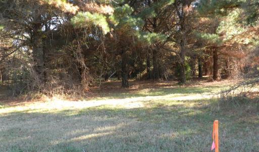 Photo #12 of Lot 3&X BARLOW CREEK LN., EASTVILLE, VA 5.0 acres